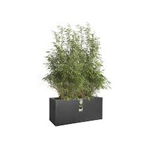 Jardinera Vivo mata finish long wheels 90cm Elho®