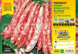 Judia Borlotto 12 Plantas En Pack