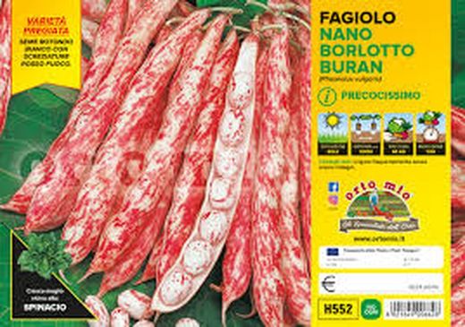 Judia Borlotto 12 Plantas En Pack