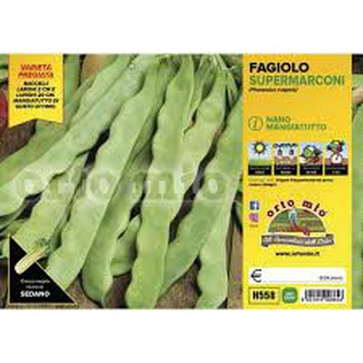 Judía Supermarconi Minosse 12 Plantas en Pack