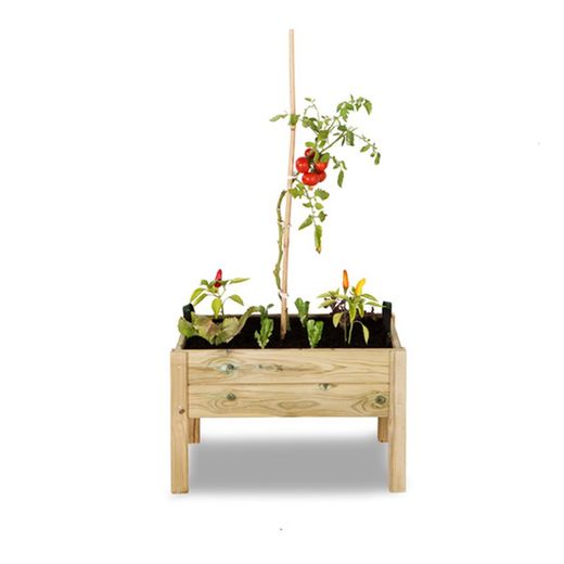 Kit de cultivo Leo de 35 litros
