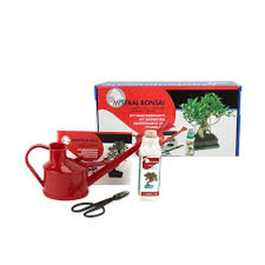 Kit de mantenimiento para bonsái