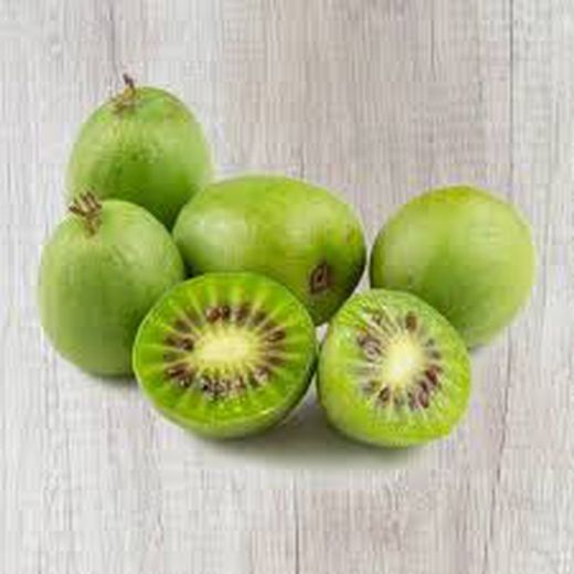 KIWI ISSAI Actinidia deliciosa 4/6 C-19
