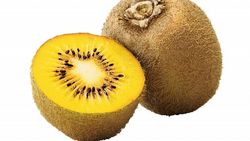 KIWI MINKIGOLD (HEMBRA) Actinidia deliciosa 4/6 C-19