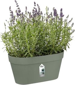 Loft Urban Green Wall Duo 28cm