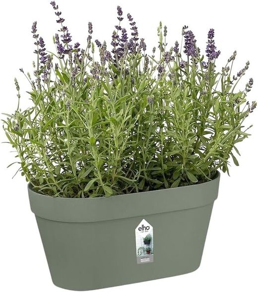 Loft Urban Green Wall Duo 28cm