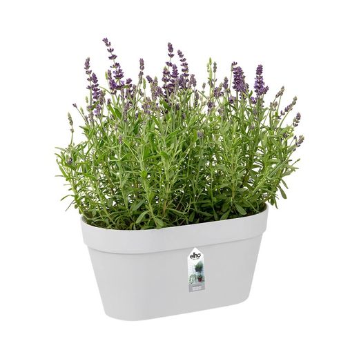 Loft Urban Green Wall Duo 28cm
