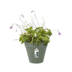 Loft urban green wall Single 15cm