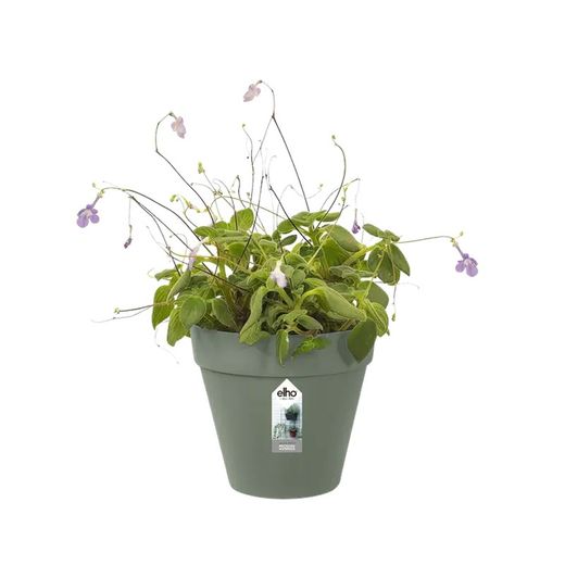 Loft urban green wall Single 15cm