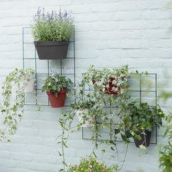 Loft urban green wall Single 15cm