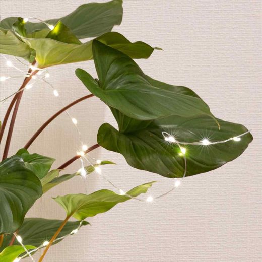 Luces LED 80cm-60l color silver/blanca calida