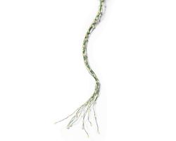 Luces LED Durawise Basic    95cm 160l color green/blanca calida