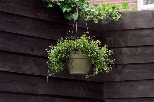 Maceta colgante vibia campana 26cm Elho®
