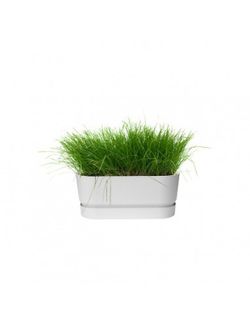 Maceta Greenville rectagular color blanco Elho®