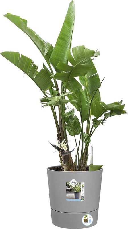 Maceta greensense round 43cm color gris Elho®