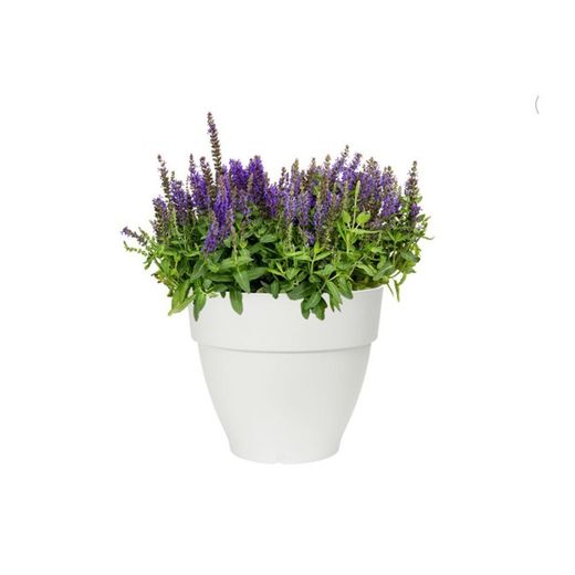 Maceta vibia campana redonda 25cm color blanco Elho®