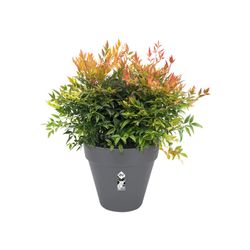 Maceta Loft Urban Round Elho