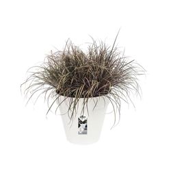 Maceta Loft Urban Round Elho