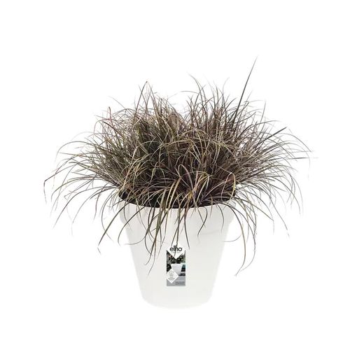 Maceta Loft Urban Round Elho