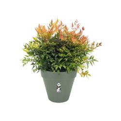 Maceta Loft Urban Round Elho