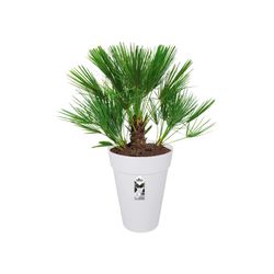 Maceta Loft Urban Round High