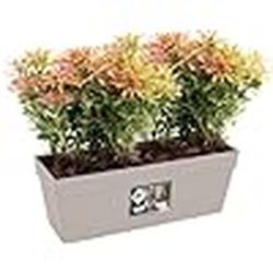 Maceta loft urban trough 50cm Elho®