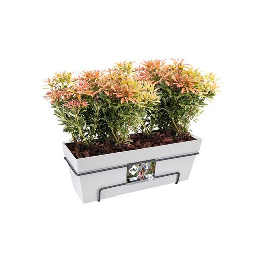 Maceta loft urban trough allin 50cm Elho®