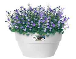 Maceta Vibia Campan Bowl