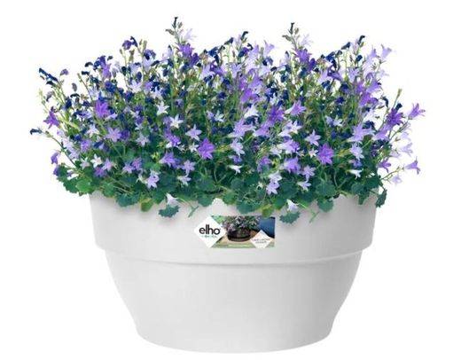 Maceta Vibia Campan Bowl