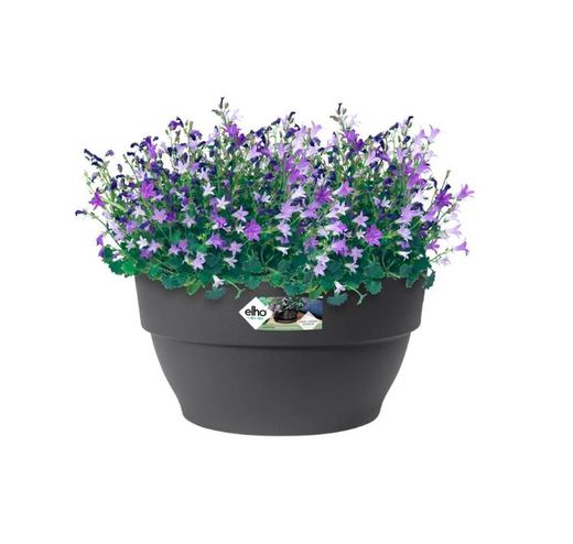 Maceta Vibia Campan Bowl