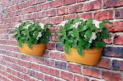 Maceta Vibia campana para pared 35cm Elho®
