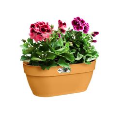 Maceta Vibia campana para pared 35cm Elho®