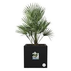 Maceta Vivo next square 30cm Elho®