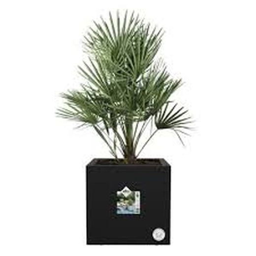 Maceta Vivo next square 30cm Elho®