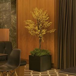 Macetero cuadrado narciso 50cm color antracita New Garden