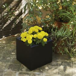 Macetero cudrado narciso 40cm color blanco New Garden