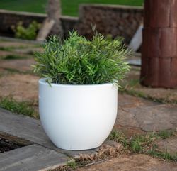 Macetero redondo Azalea 40cm color Blanco New Garden