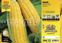 Maiz Dulce Palomitas Golda 12 Plantas En Pack