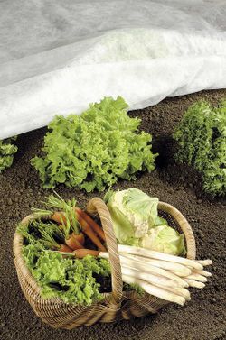 Manta Rollo Manta térmica de pp 2 x 10m 17g/m² de color blanco Stocker