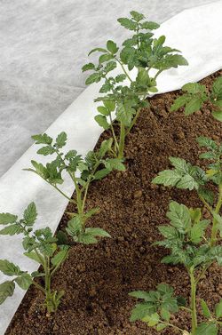 Manta térmica de pp 1,6 x 10m 30 g/m² de color blanco Stocker