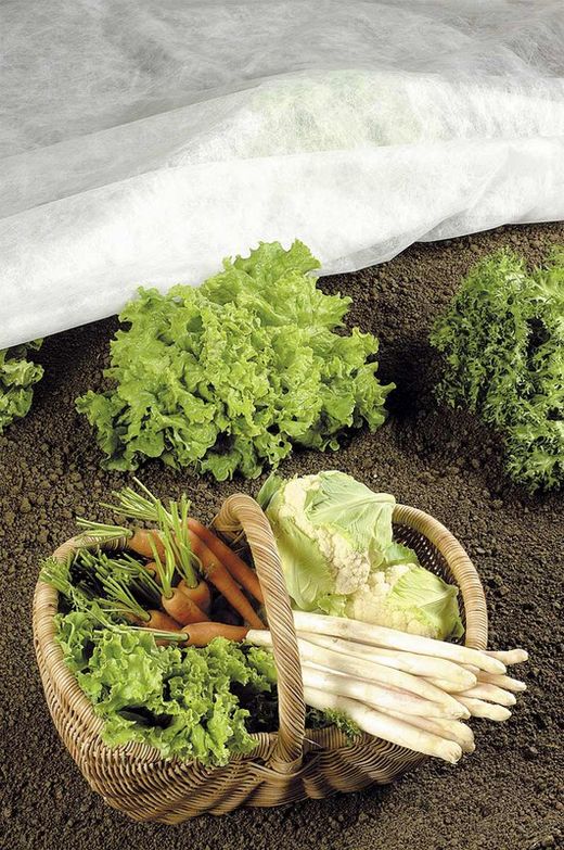 Manta térmica de pp 4 x 5m 19 g/m² de color blanco Stocker