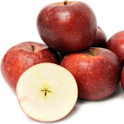 MANZANO BELLEZA DE ROMA Malus domestica 4/6 C-19