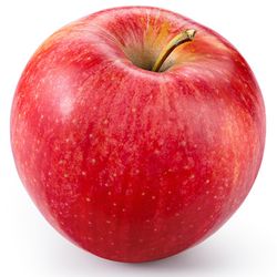 MANZANO GALA Malus domestica 6/8 C-25