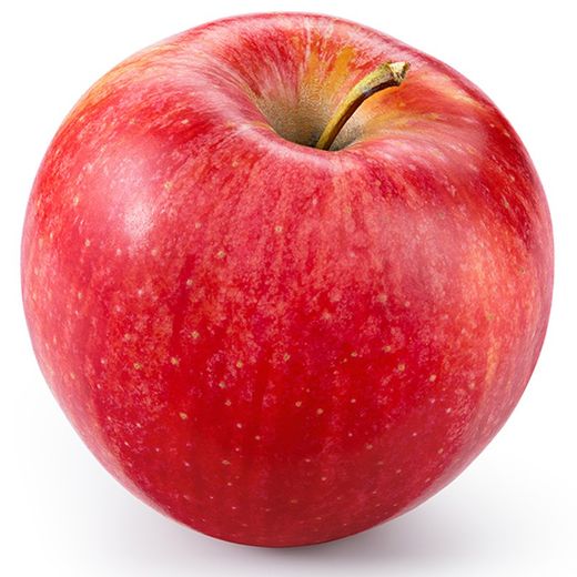 MANZANO GALA Malus domestica 6/8 C-25