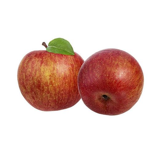 MANZANO GALAXI Malus domestica 4/6 C-19