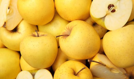 MANZANO GOLDEN DELICIOUS Malus domestica 4/6 C-19