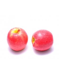 MANZANO PINK Malus domestica 4/6 C-19