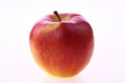 MANZANO  STARKING Malus domestica 6/8 C-25