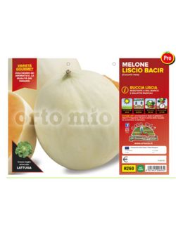 Melon Liso Yago 4 Plantas En Pack