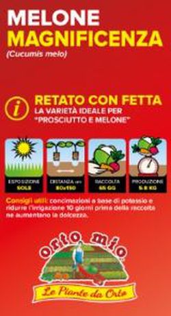 Melón Magnificenza 4 Plantas En Pack